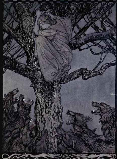 Tuan MCarroll by Rackham